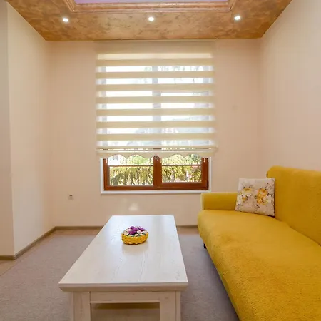 китанов 4*